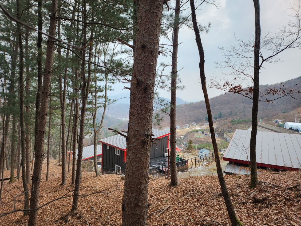 하나리더투어부설양평힐링센터