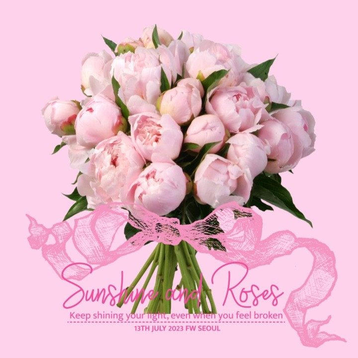 선샤인앤로지스