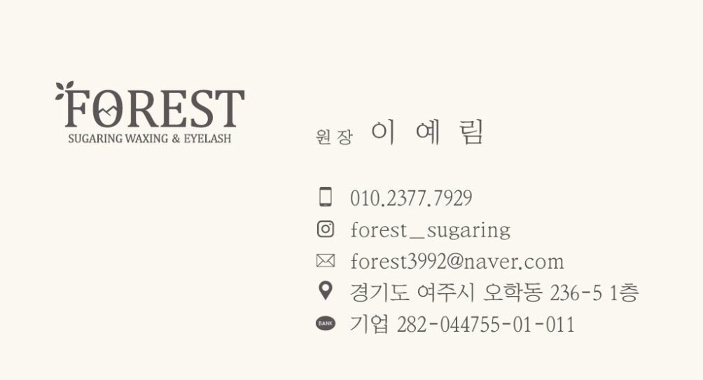 포레스트
