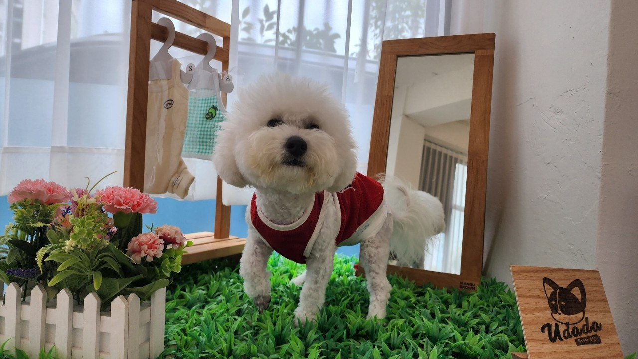 우다다댕산