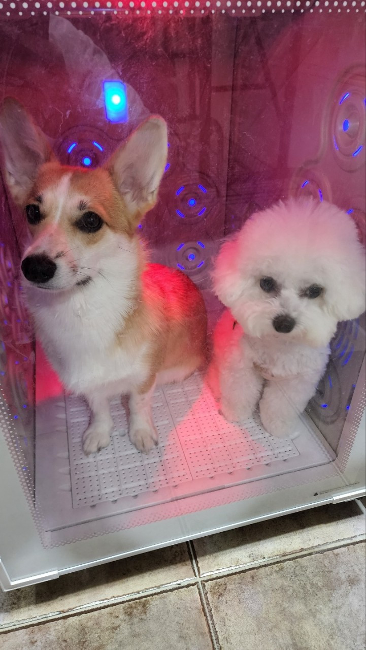 우다다댕산