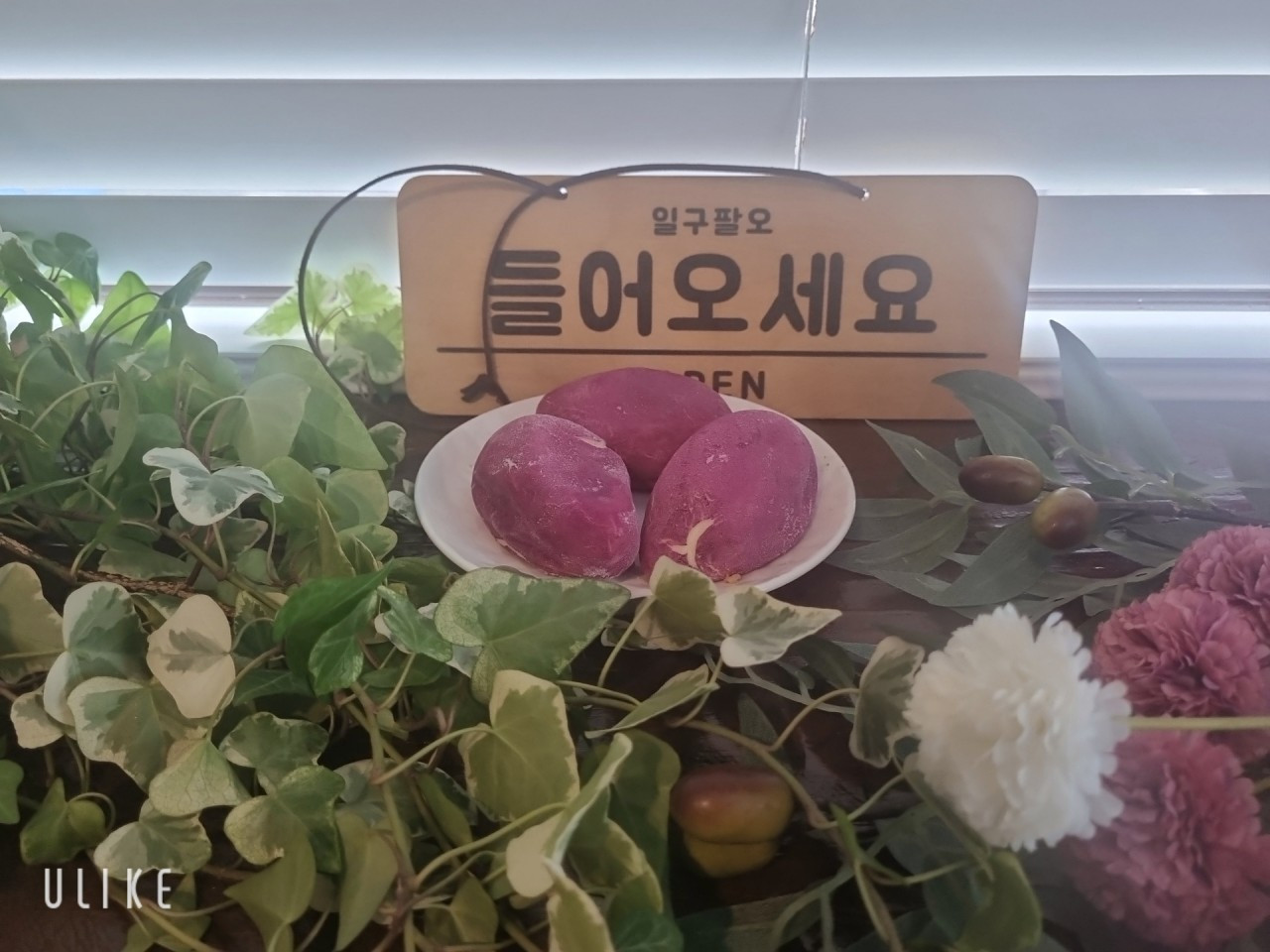 카페1985