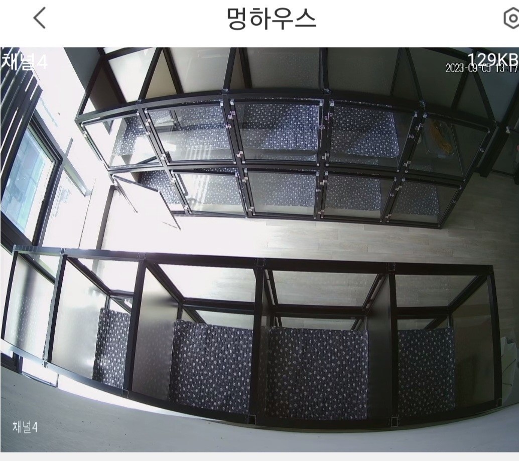 멍하우스