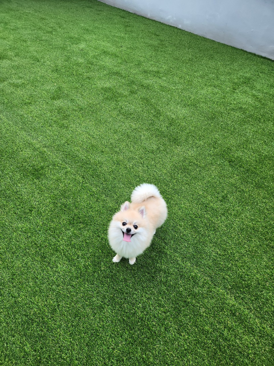 멍하우스