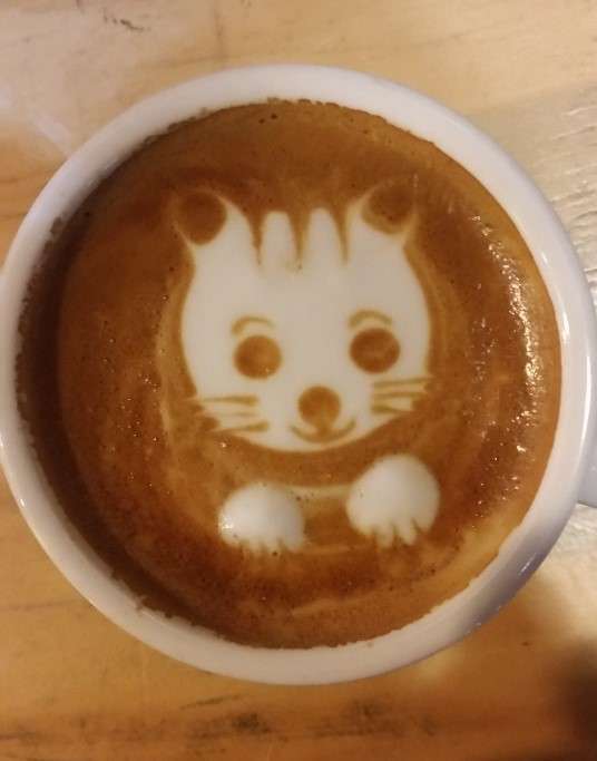 카페톡