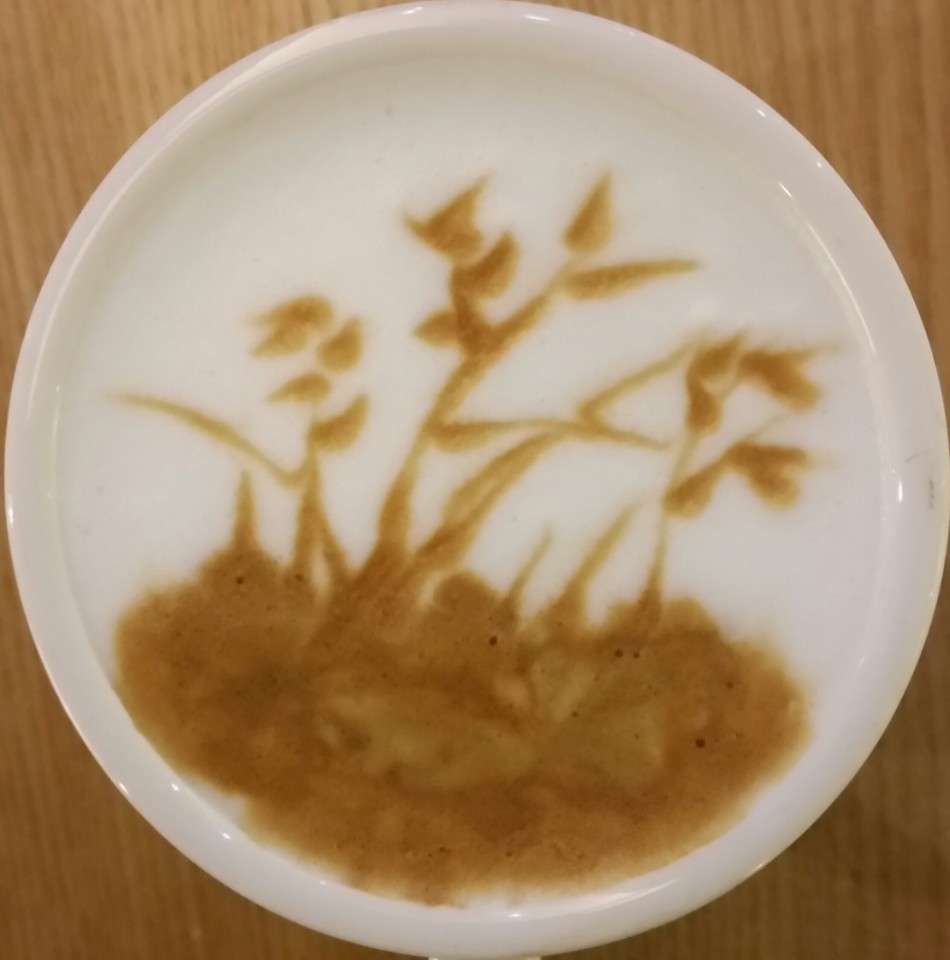 카페톡
