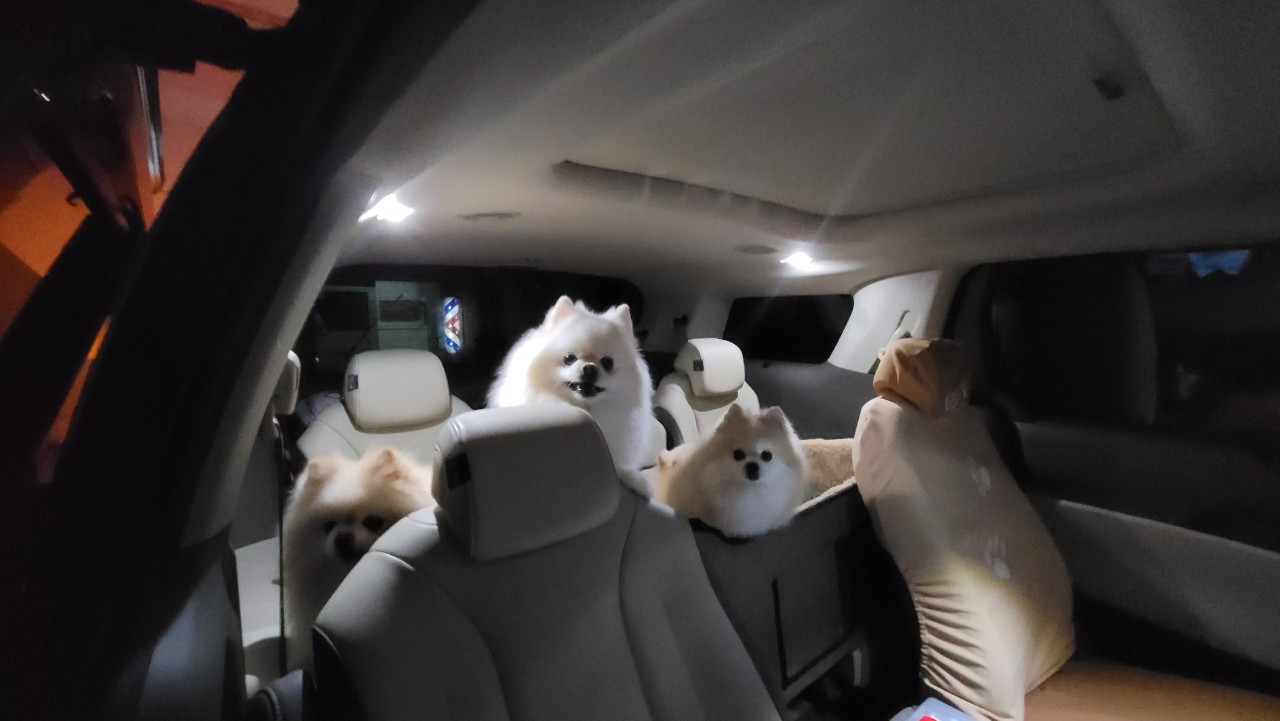 올리스 양산점