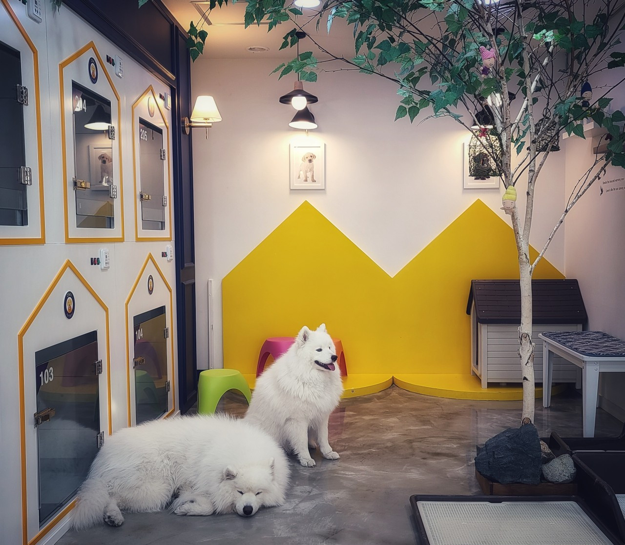 올리스 양산점