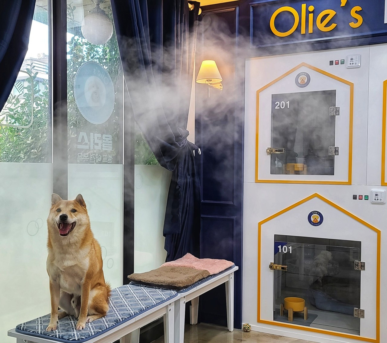 올리스 양산점