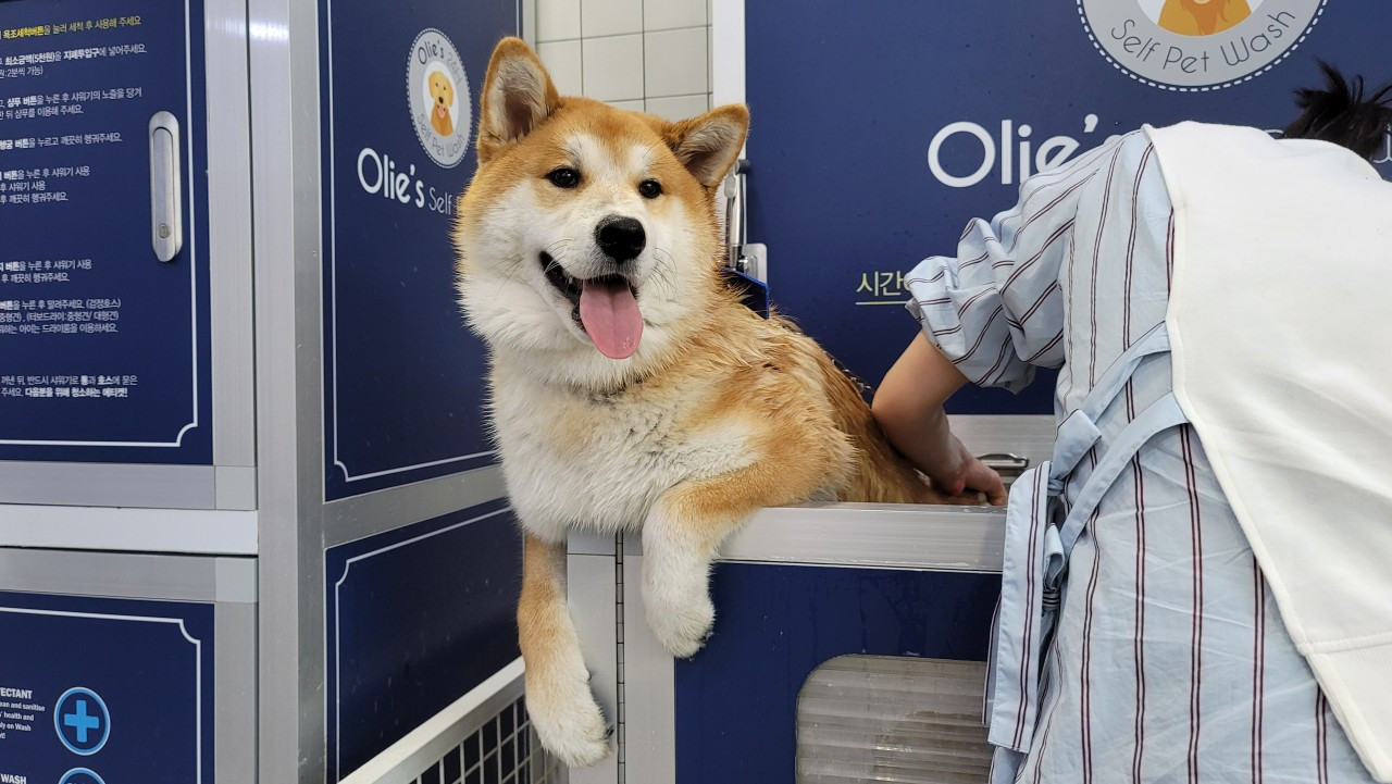 올리스 양산점