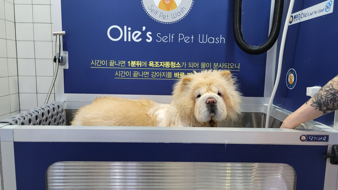 올리스 양산점