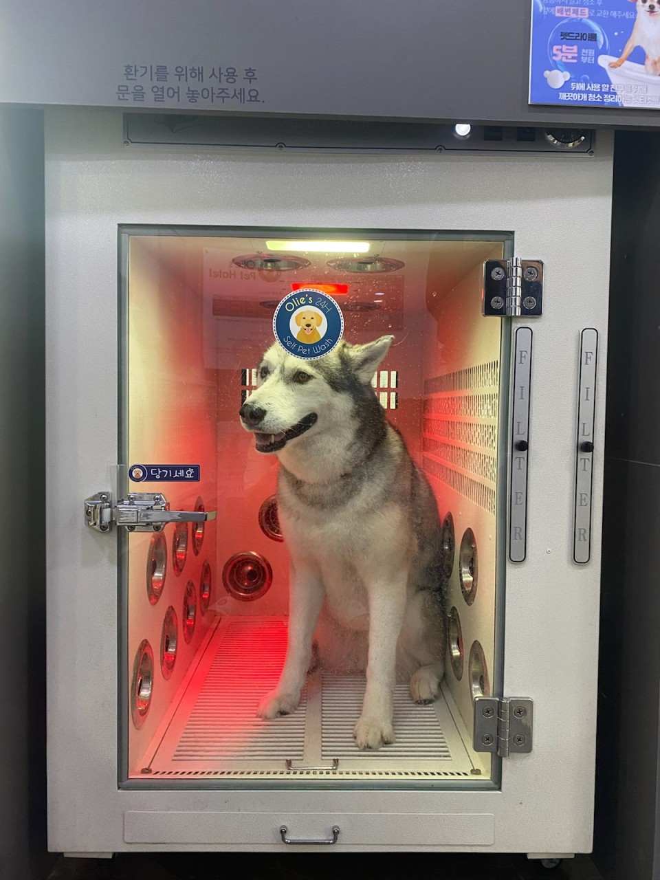 올리스 양산점