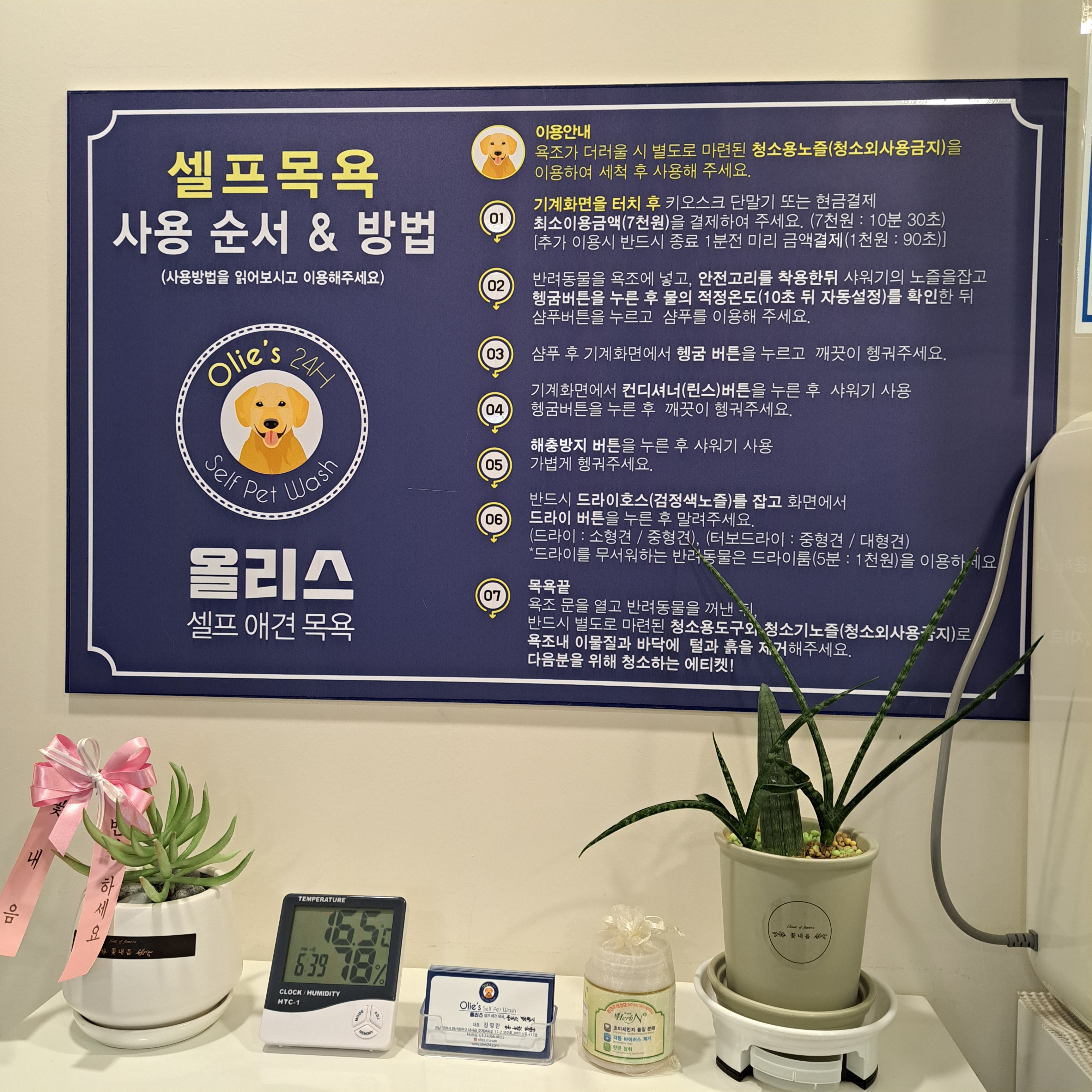 올리스24 마산호계점