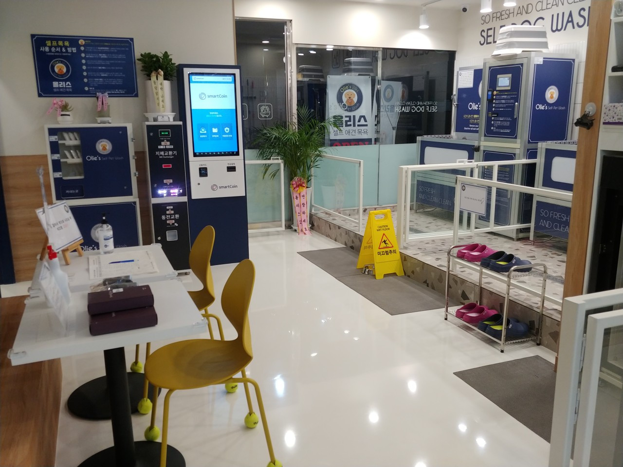 올리스24 마산호계점