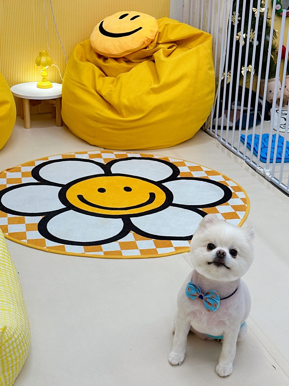 모리몽