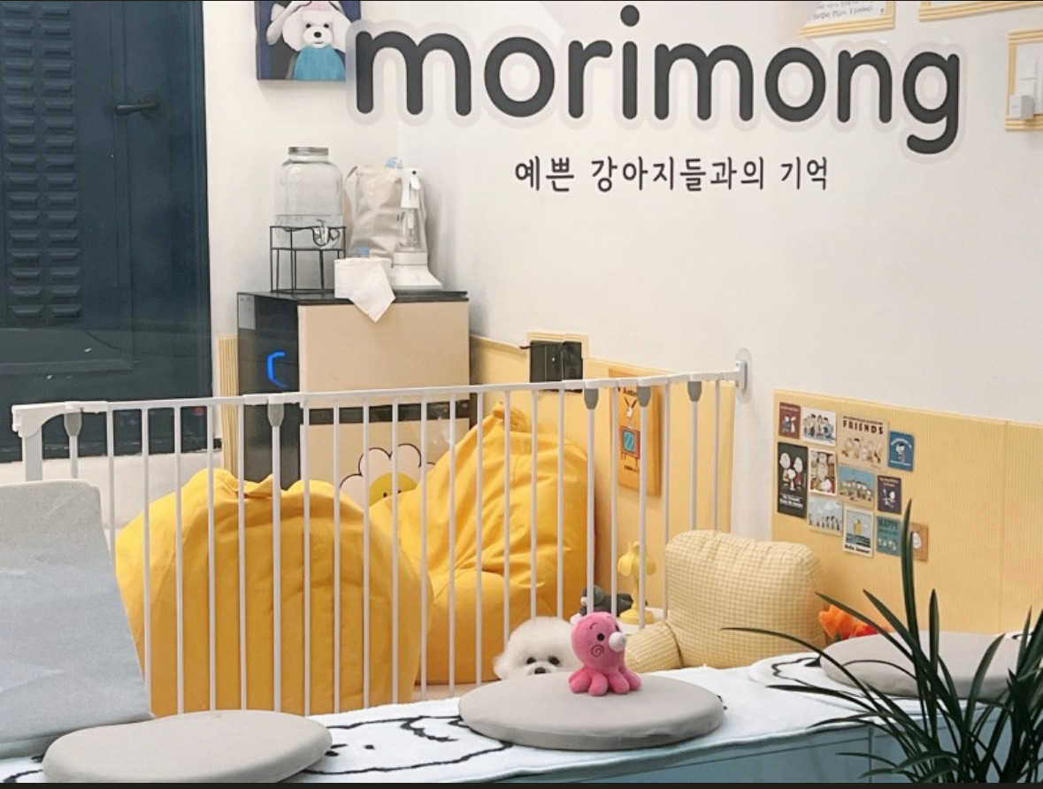 모리몽