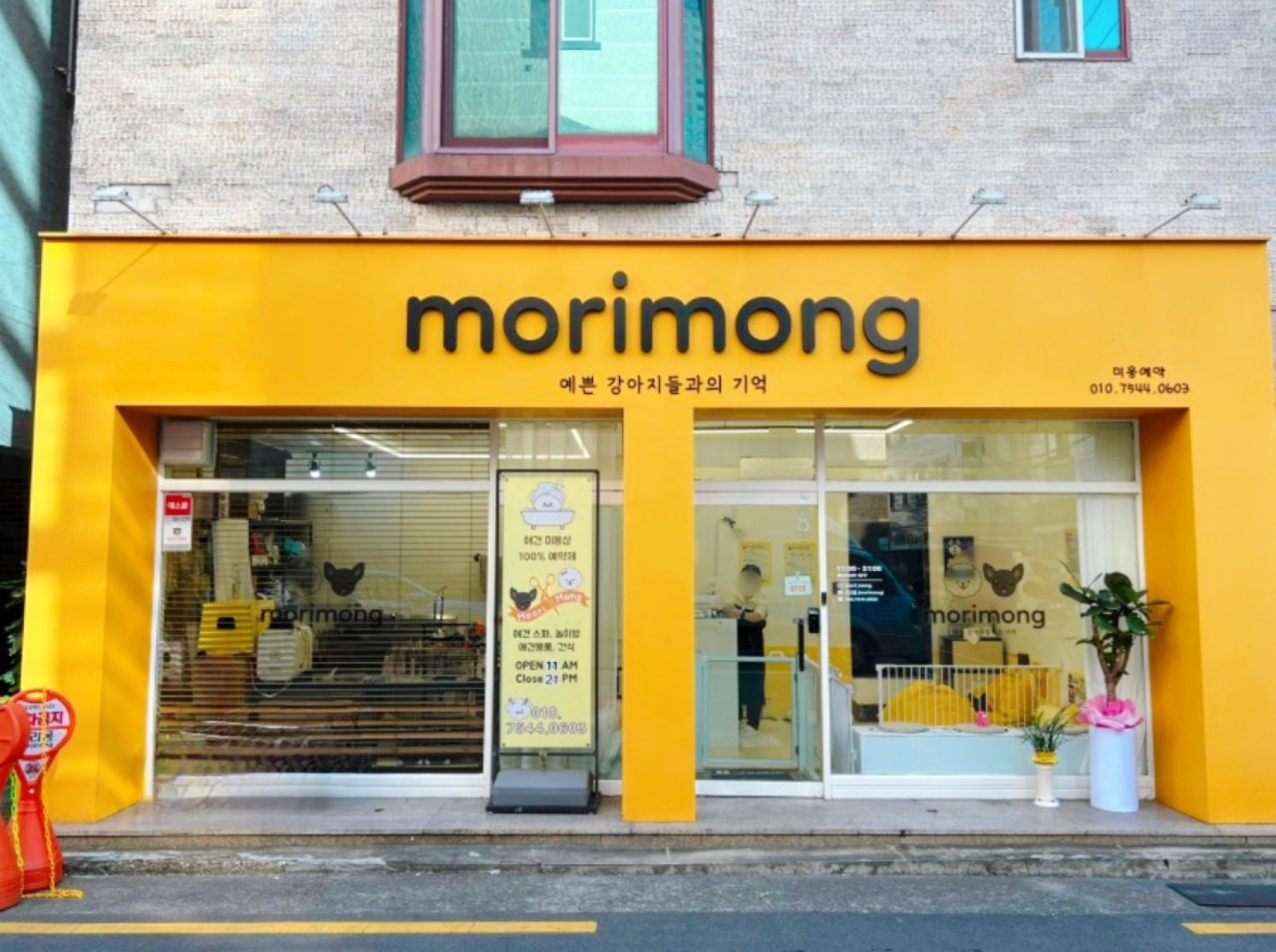 모리몽