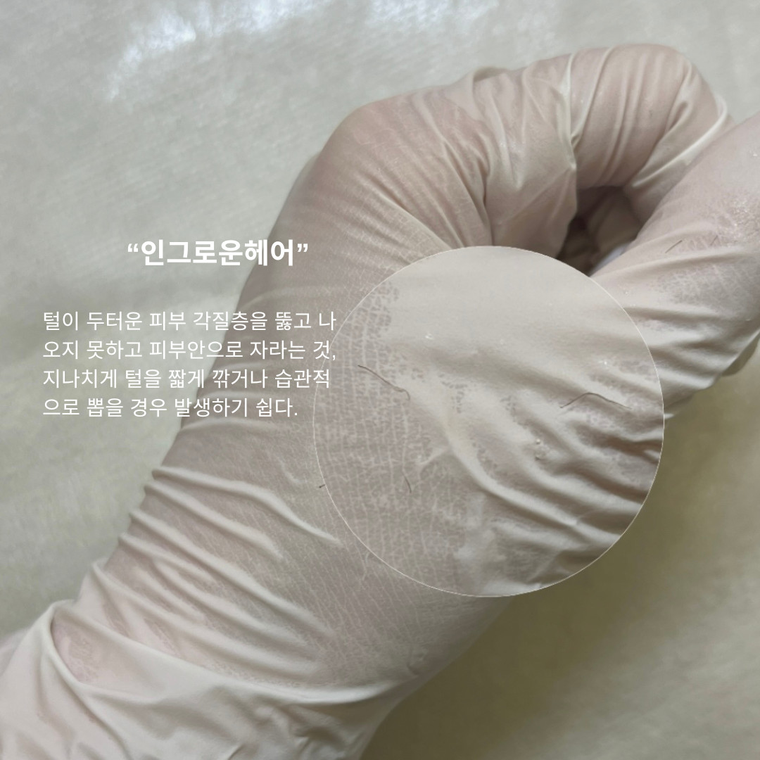 삼월뷰티
