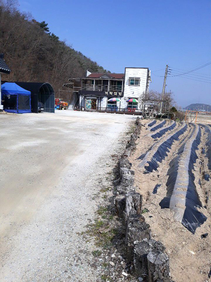 김가네꺼먹돼지