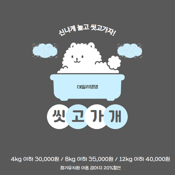 데일리댕댕