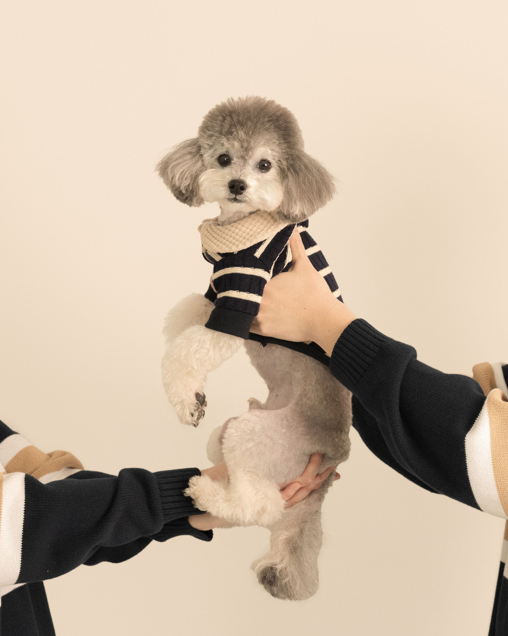 마스코타