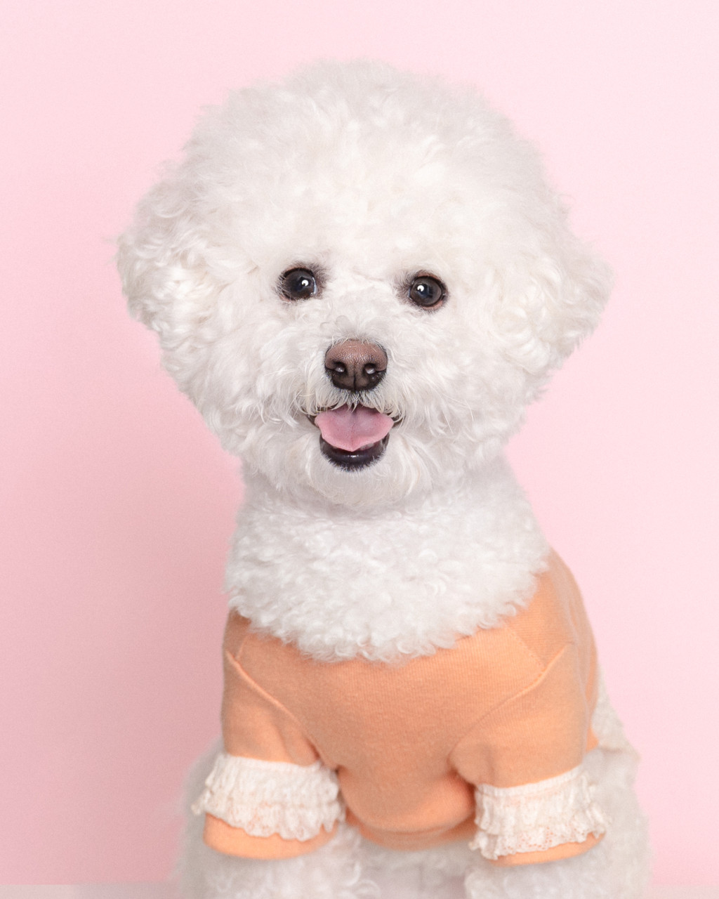 마스코타
