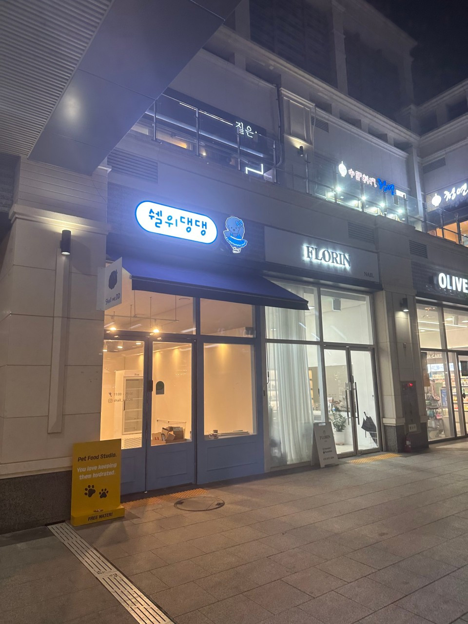 쉘위댕댕