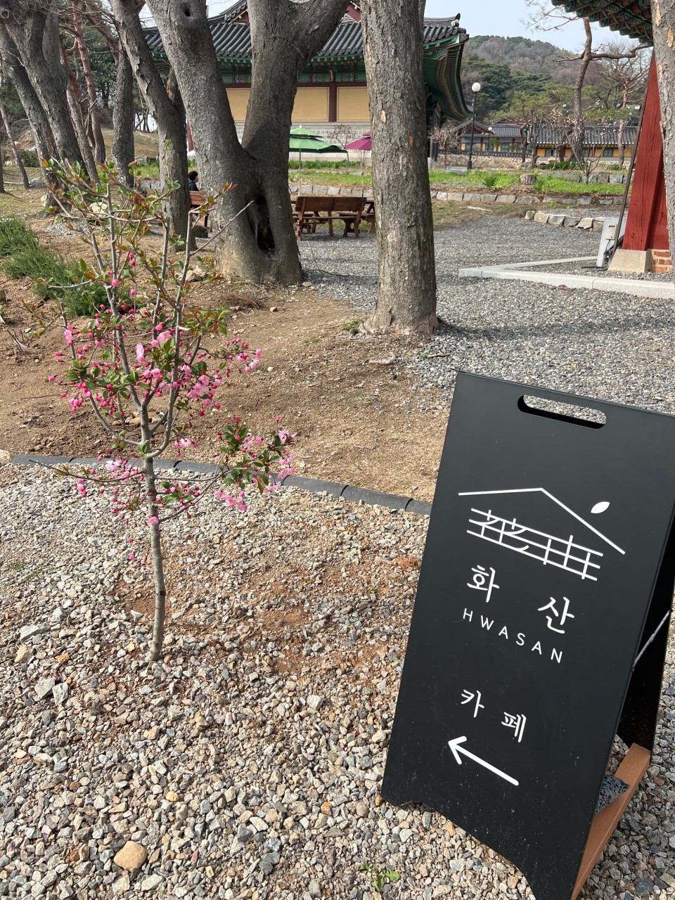 카페화산