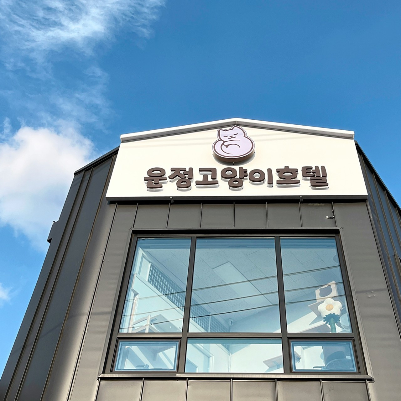 운정고양이호텔