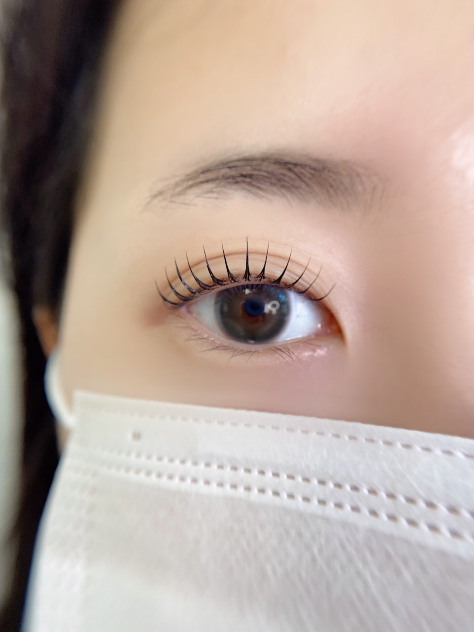 래쉬디쉬