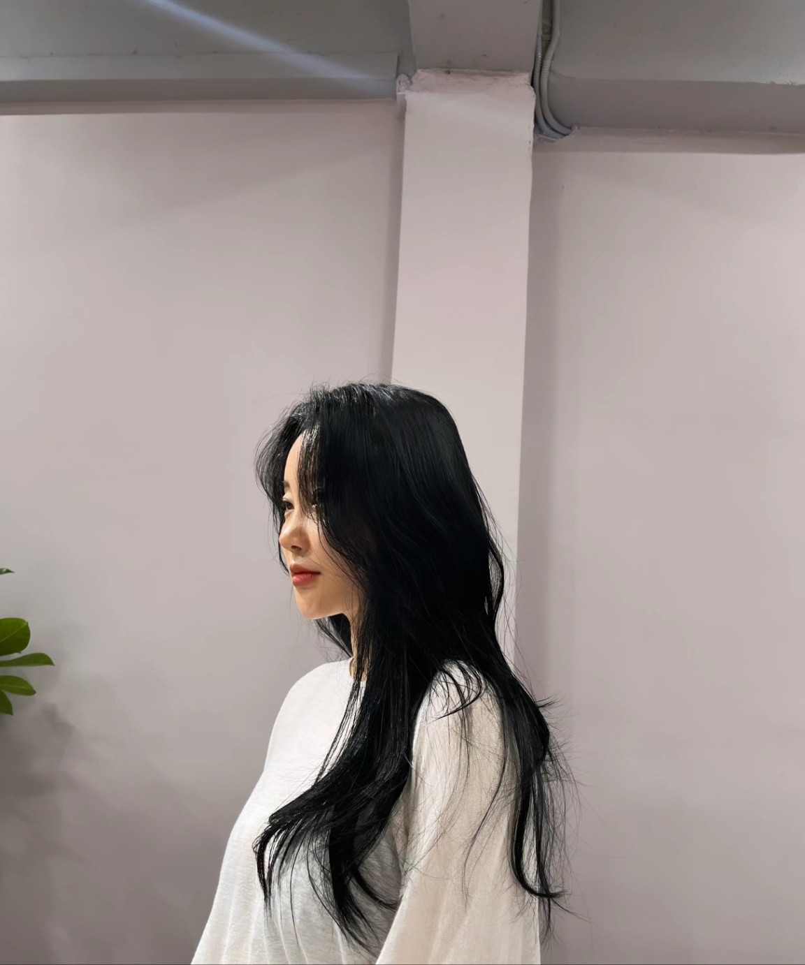 어씨클리퍼