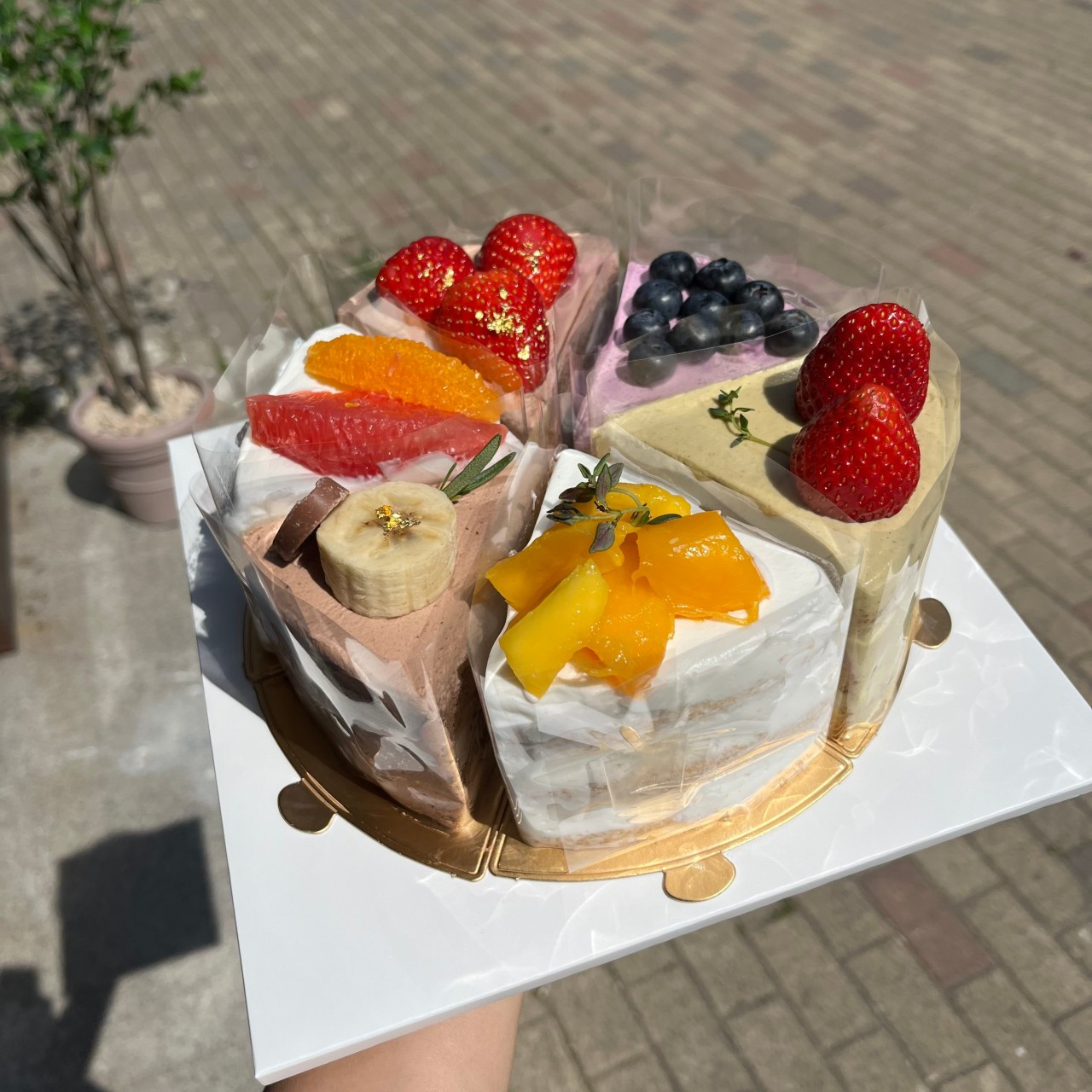 카페마주