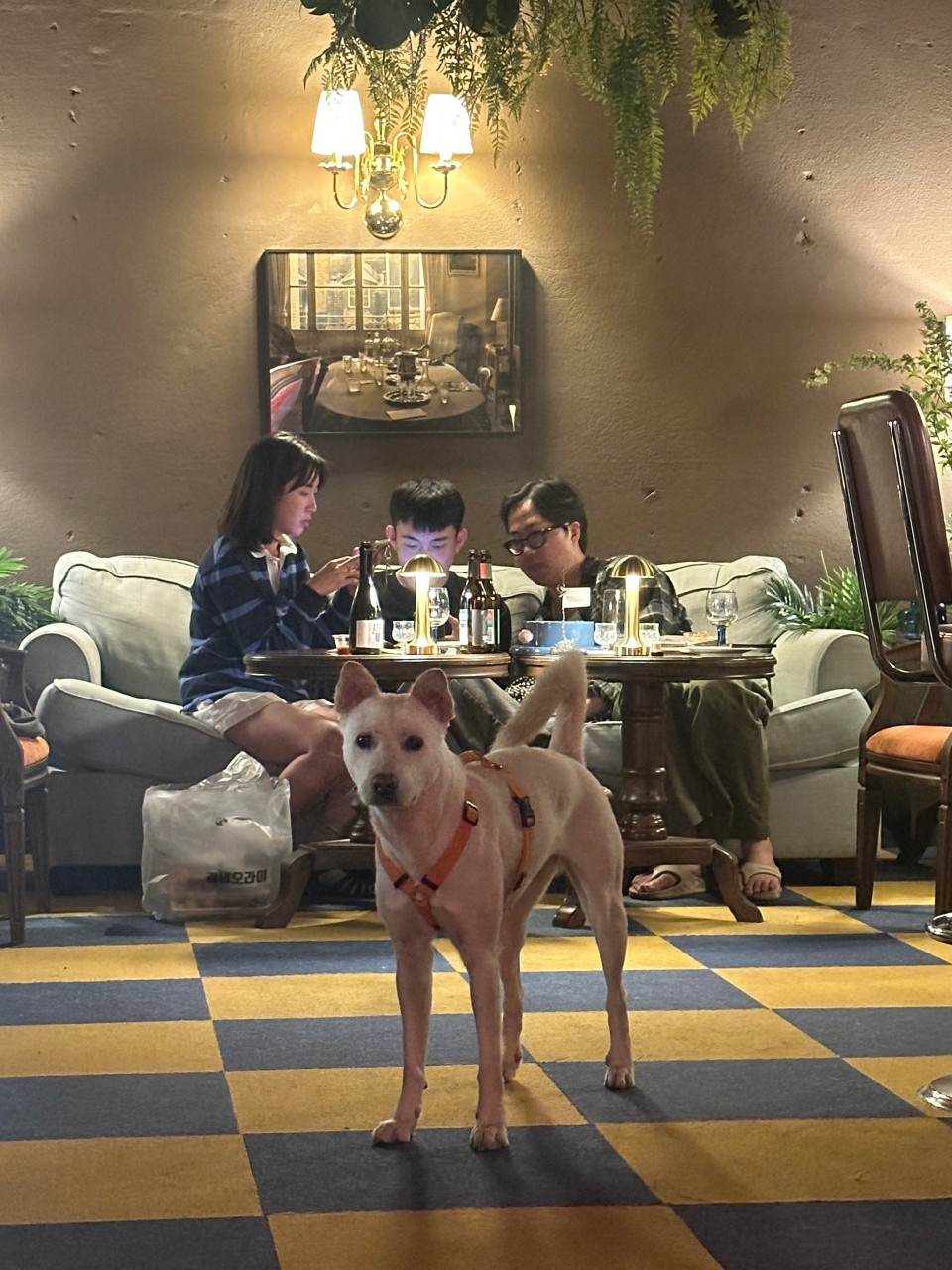 째즈도