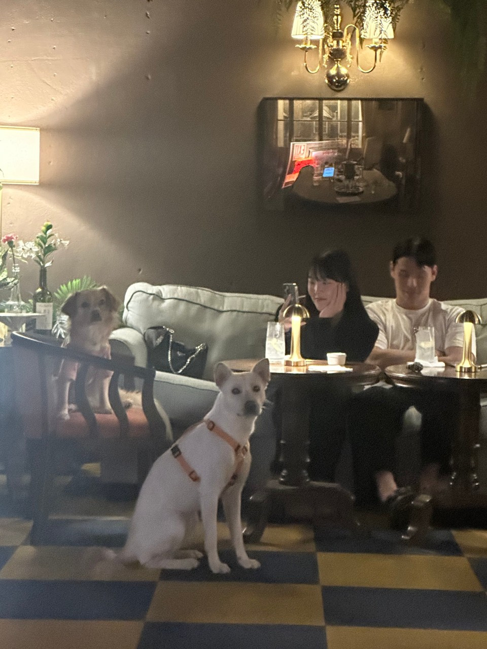 째즈도