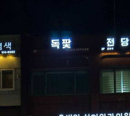 독팣