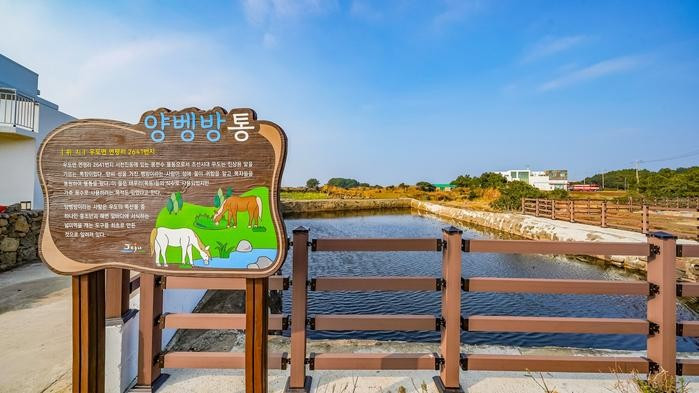 우도화이트하우스민박