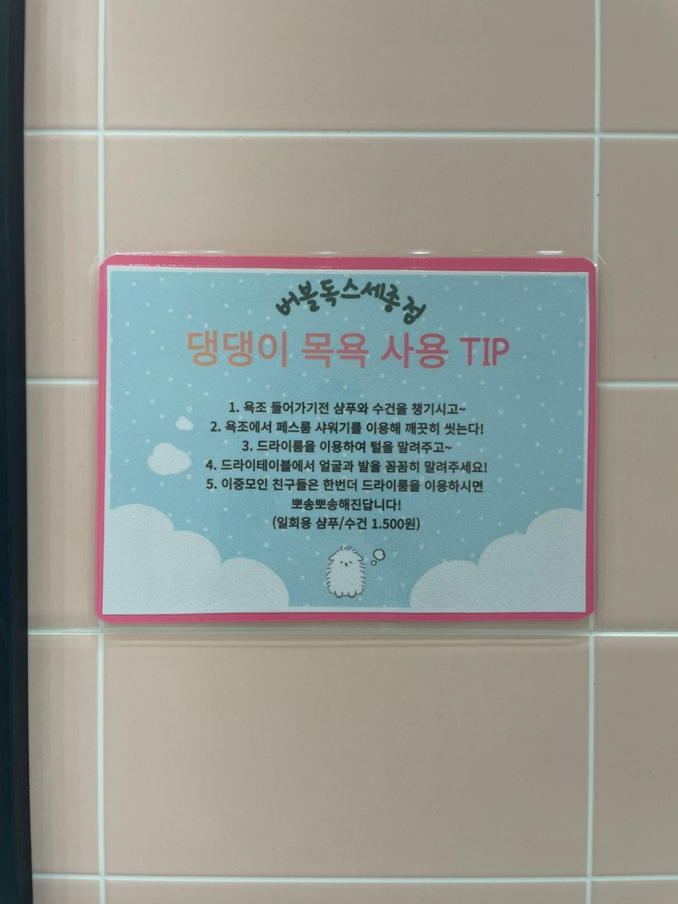 버블독스세종점
