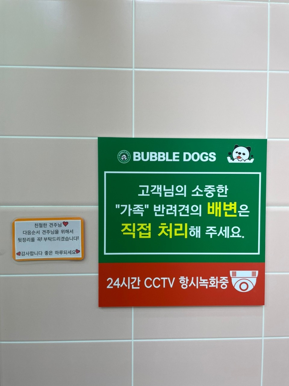 버블독스세종점