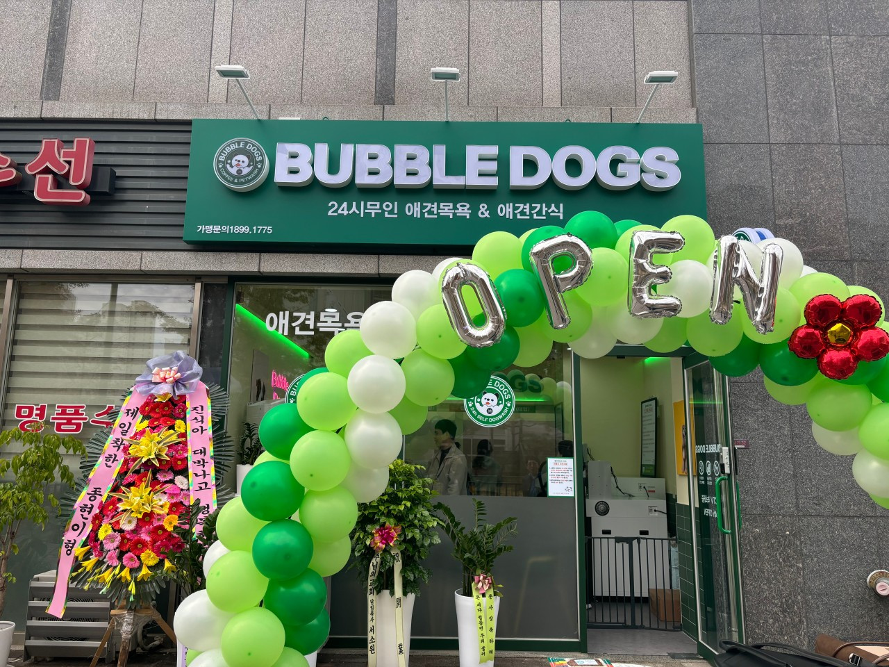 버블독스세종점
