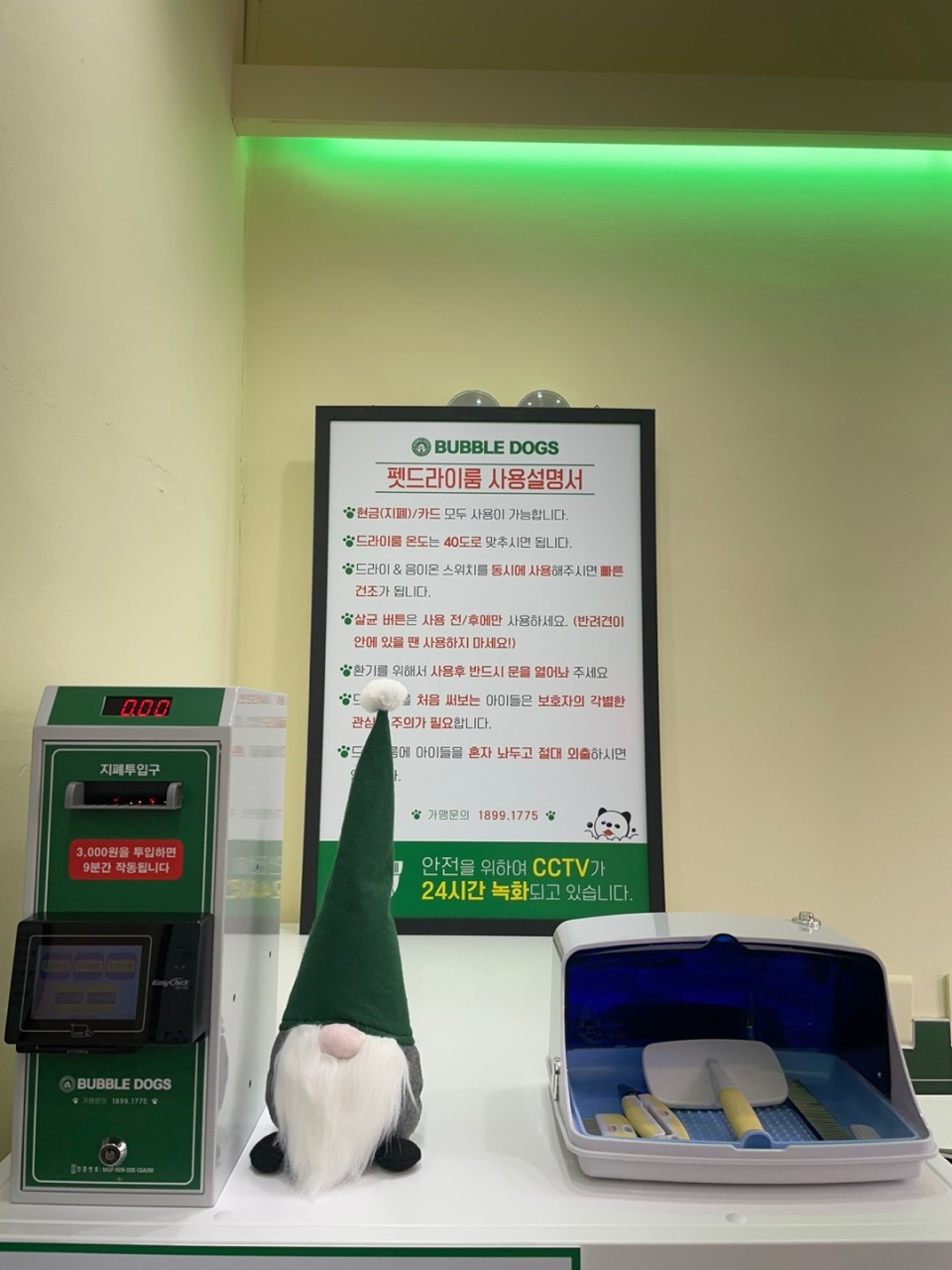 버블독스세종점