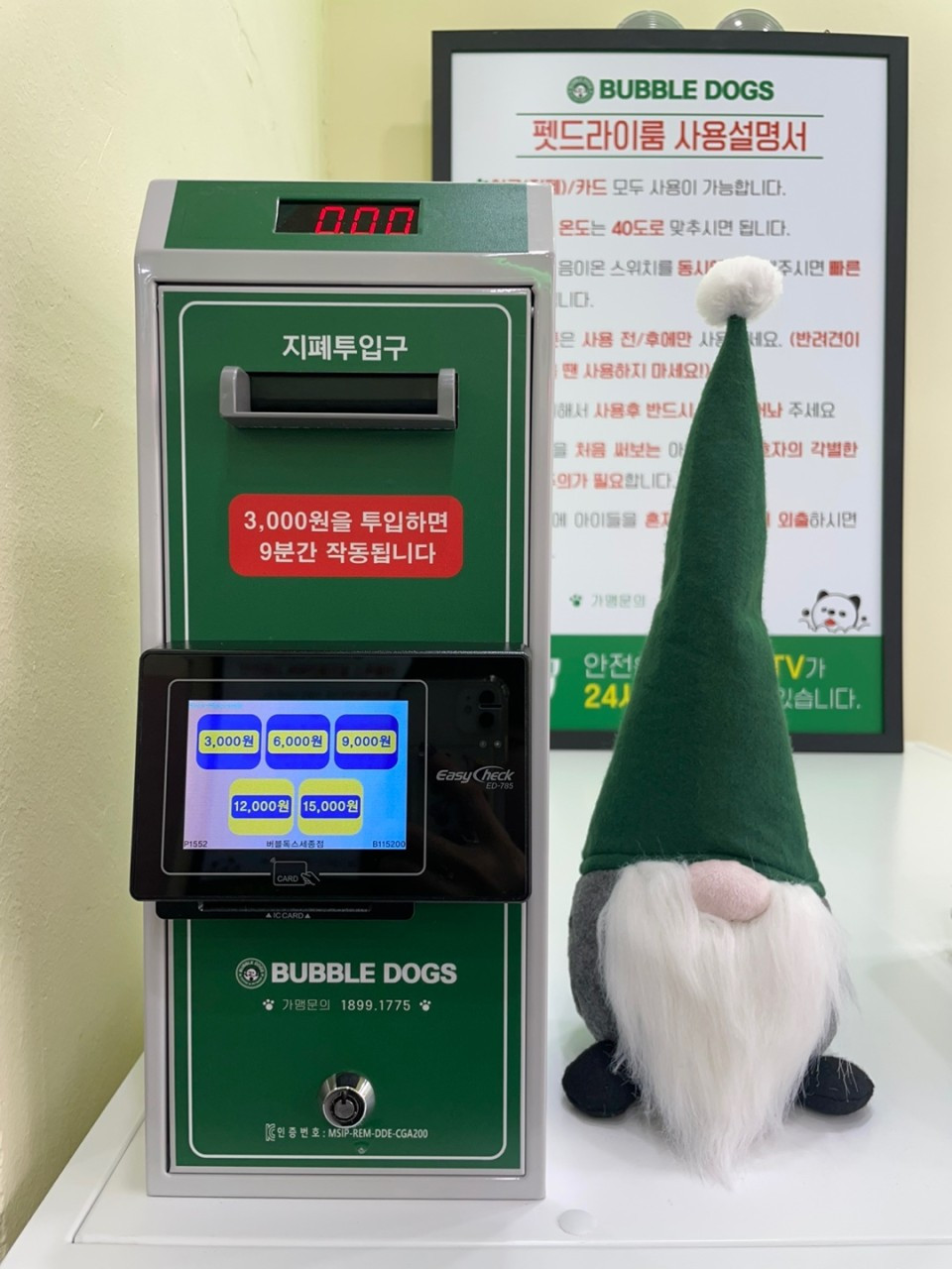 버블독스세종점