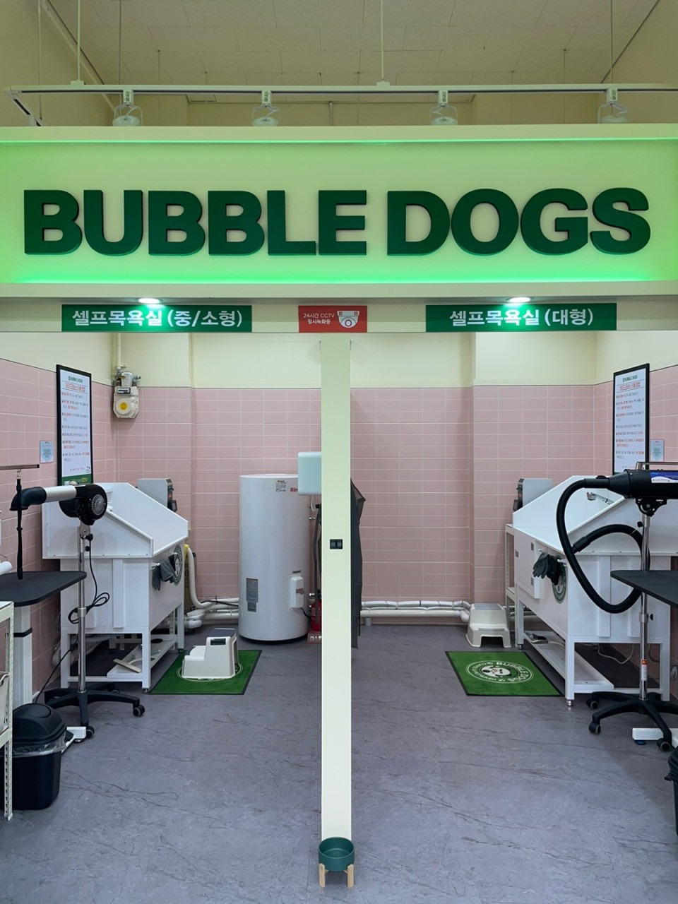 버블독스세종점