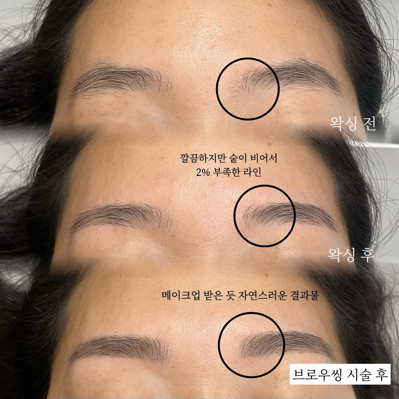 모모도트