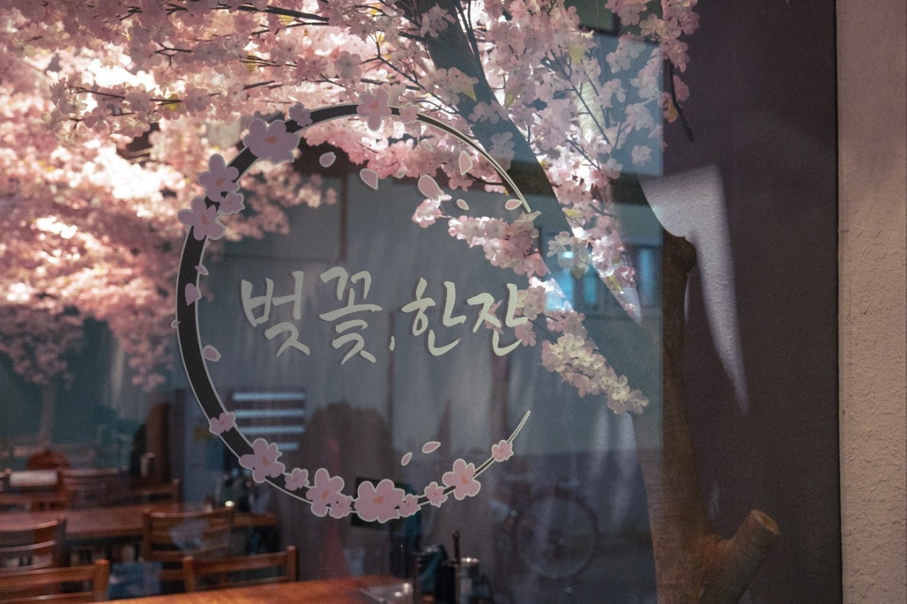 벚꽃,한잔