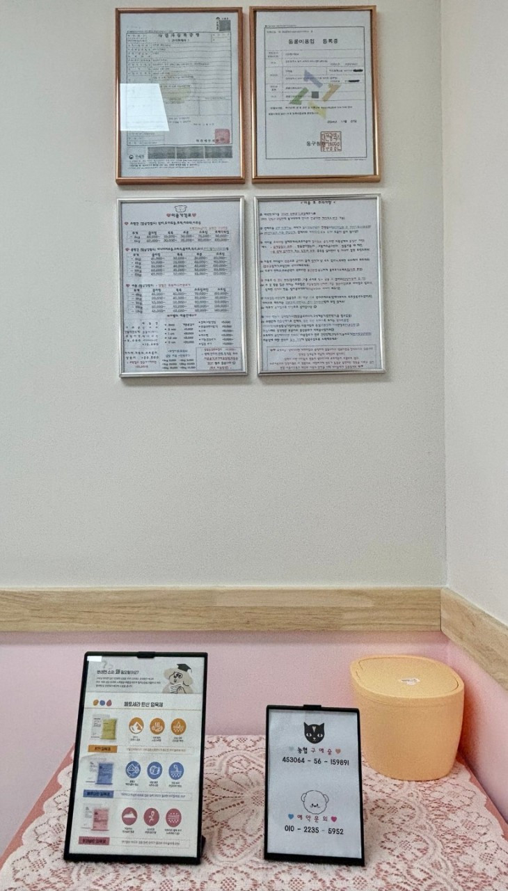 라온펫애견미용실