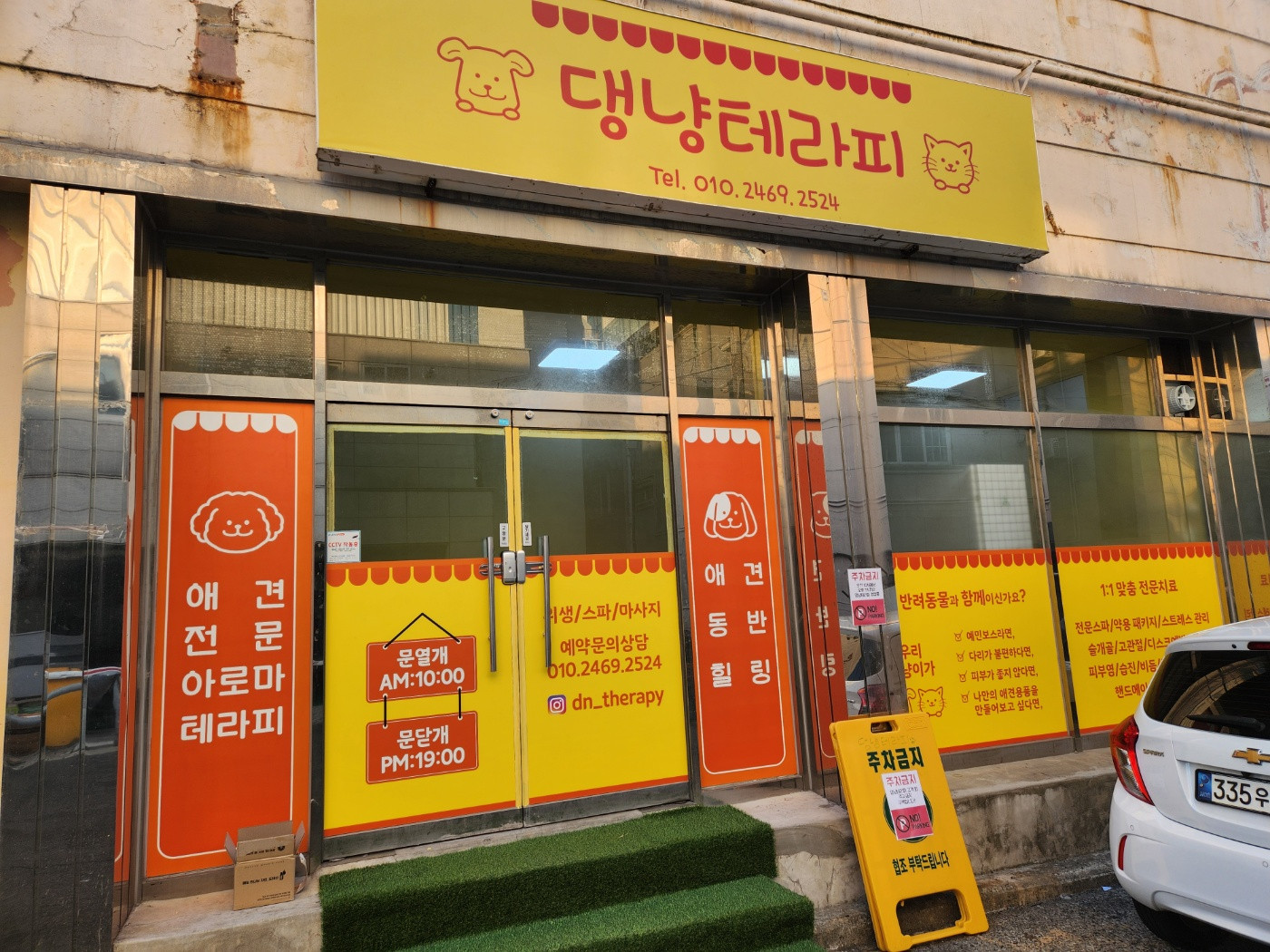 댕냥테라피