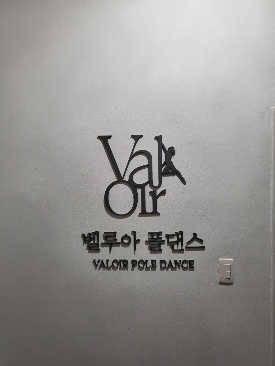 벨루아폴댄스