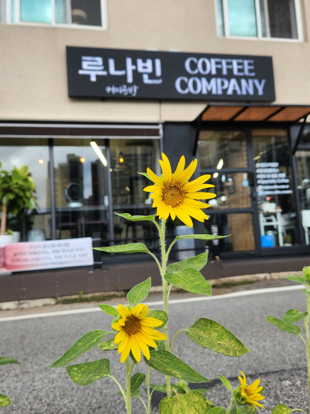 루나빈커피컴퍼니