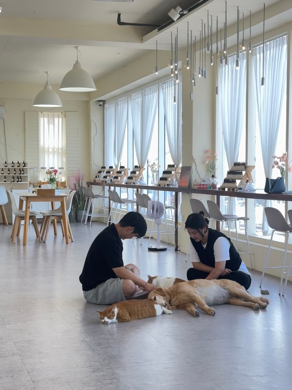 어코드 제주