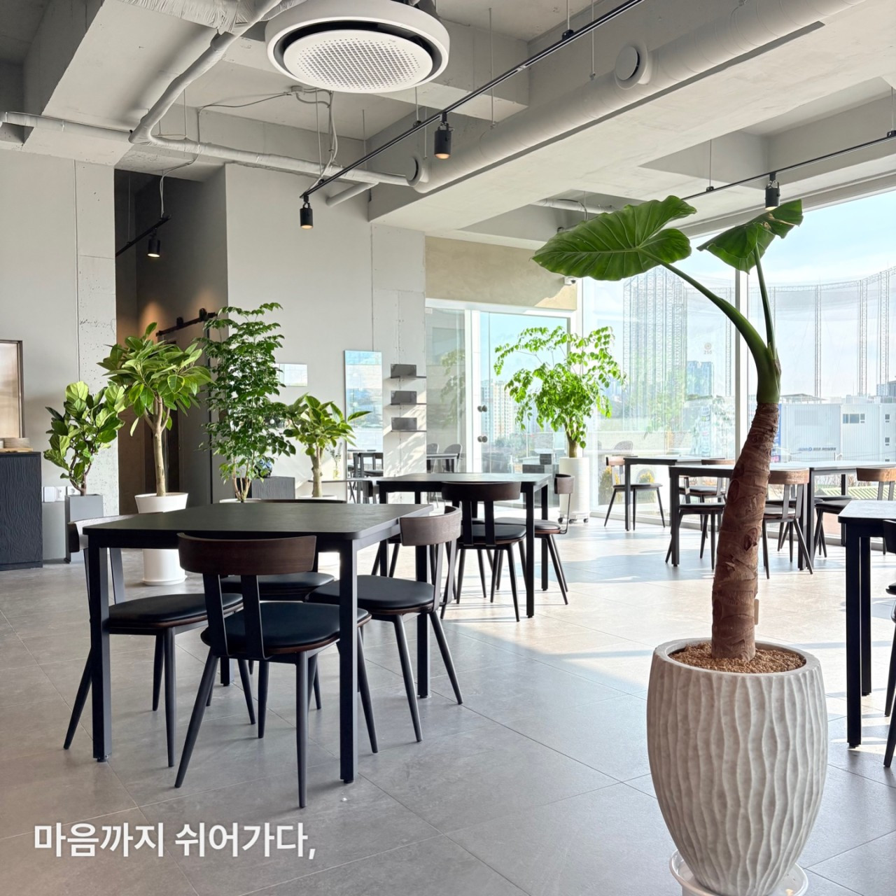 하루쉼표